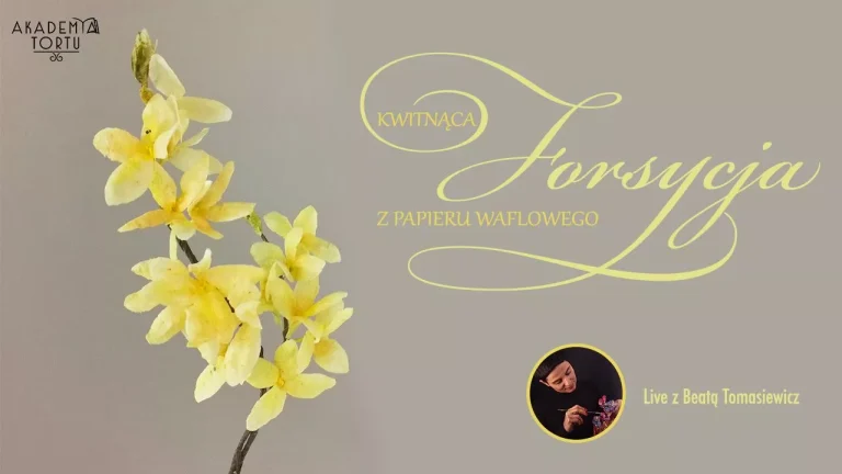 Forsycja z papieru waflowego