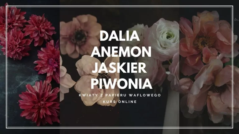 Dalia Anemon Jaskier Piwonia z papieru waflowego