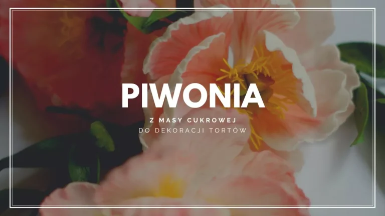 Piwonia z masy cukrowej